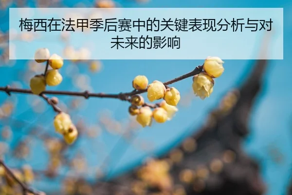 mei-xi-zai-fa-jia-ji-hou-sai-zhong-de-guan-jian-biao-xian-fen-xi-yu-dui-wei-lai-de-ying-xiang-2-124.jpg