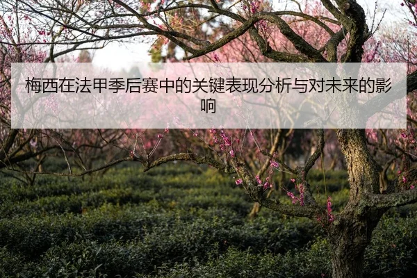 梅西在法甲季后赛中的关键表现分析与对未来的影响