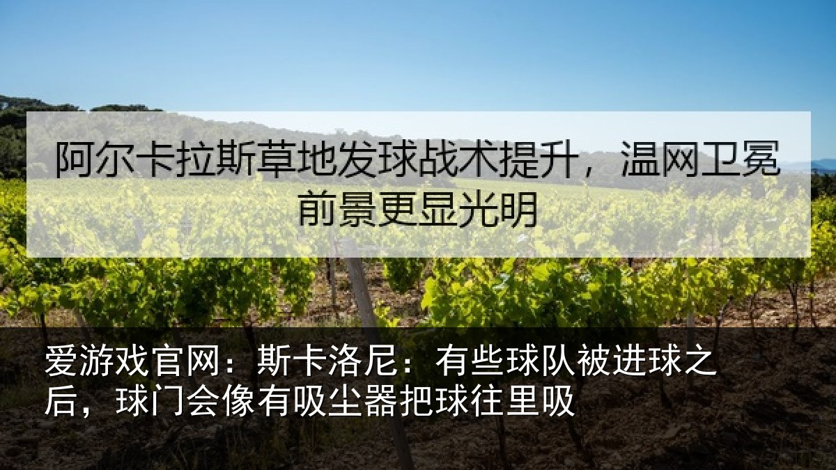 爱游戏官网：斯卡相关情况球之相关情况器把球往里吸