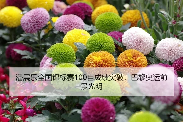 潘展乐全国锦标赛100自成绩突破，巴黎奥运前景光明
