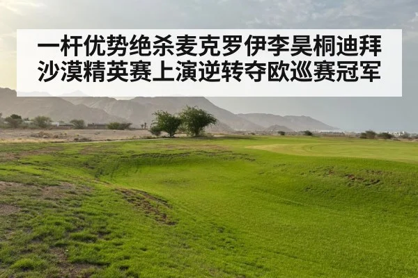 一杆优势绝杀麦克罗伊李昊桐迪拜沙漠精英赛上演逆转夺欧巡赛冠军