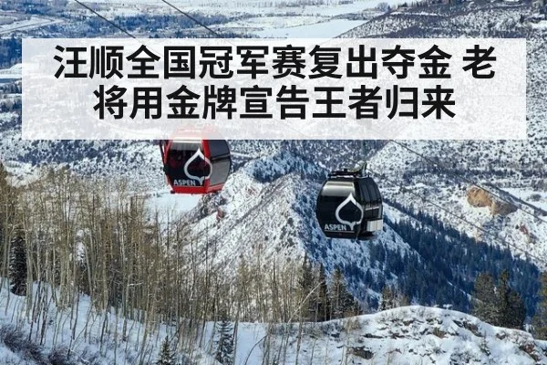 汪顺全国冠军赛复出夺金 老将用金牌宣告王者归来